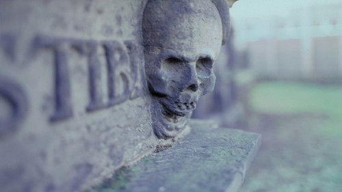 Scariest Places on Earth filmas žiurėti online