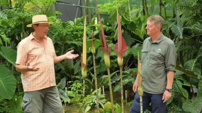 Gardening Australia