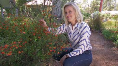 Gardening Australia