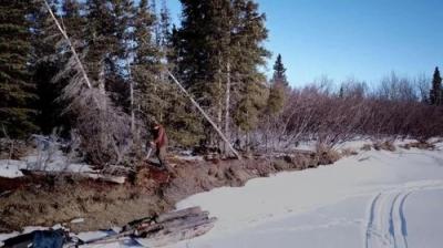 Life Below Zero