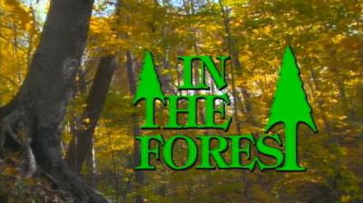 Marty Stouffer's Wild America