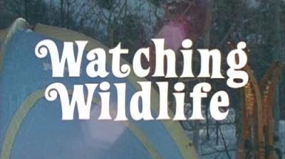 Marty Stouffer's Wild America