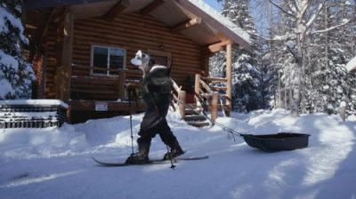 Life Below Zero