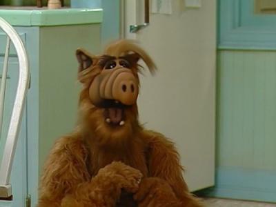 ALF