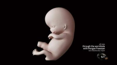 Didžiosios Visatos Paslaptys su Morganu Frimanu