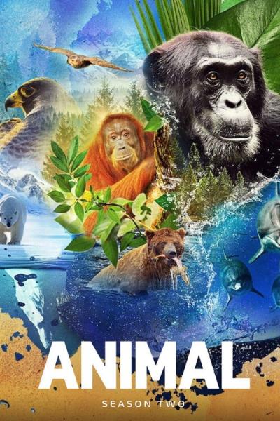 Animal filmas online