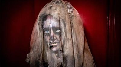 Wellington Paranormal