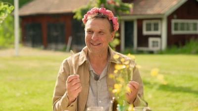 Allt för Sverige