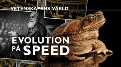 Vetenskapens värld