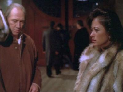 Kung Fu: The Legend Continues