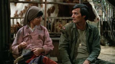M*A*S*H
