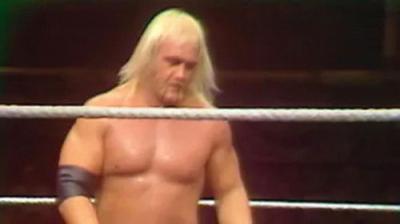 WWF All-Star Wrestling