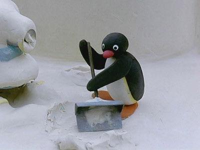 Pingu