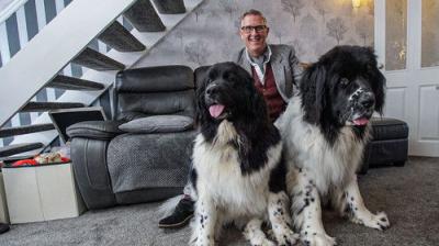 Dogs Behaving (Very) Badly