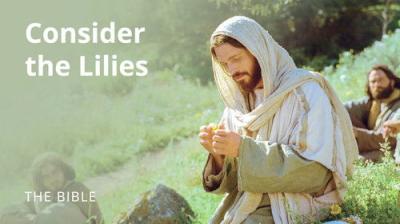 The Life of Jesus Christ
