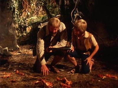 Swiss Family Robinson