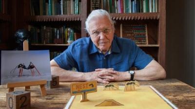 David Attenborough's Natural Curiosities