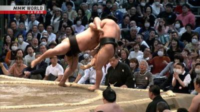 GRAND SUMO Highlights