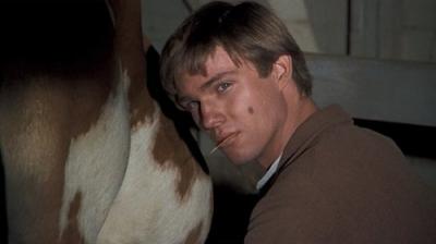 The Waltons