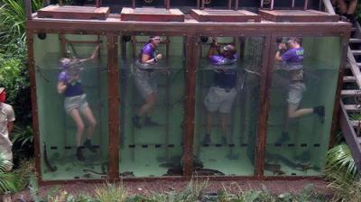 I'm a Celebrity...Get Me Out of Here!
