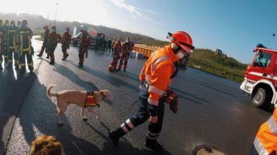 Feuer & Flamme