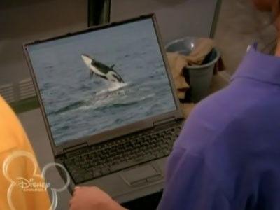 The Suite Life on Deck