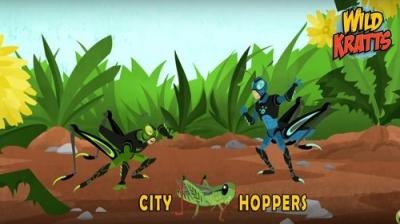 Wild Kratts