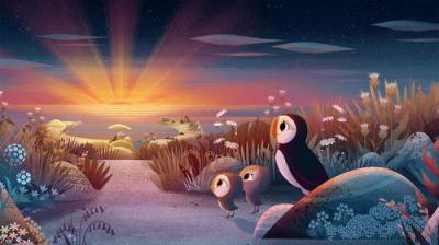 Puffin Rock