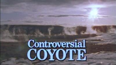 Marty Stouffer's Wild America