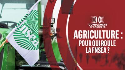 Complément d'enquête
