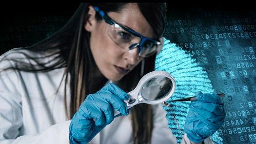 Forensic Justice filmas žiurėti online