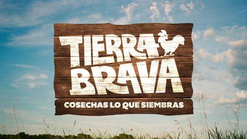 Tierra Brava filmas žiurėti online