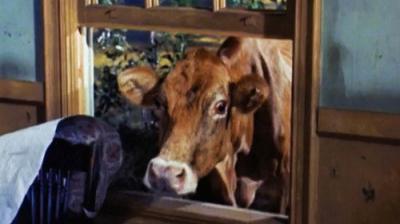 Green Acres