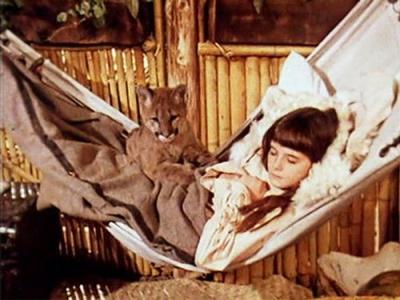 Swiss Family Robinson