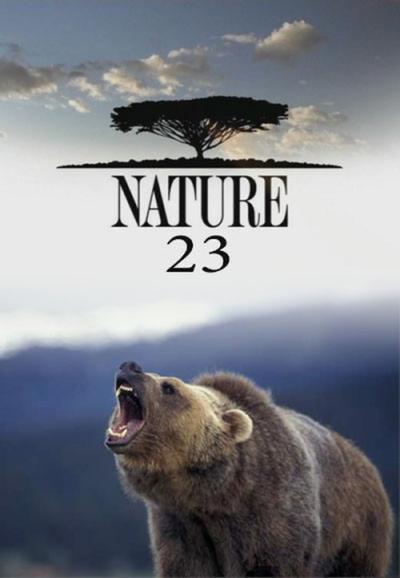 Nature filmas online
