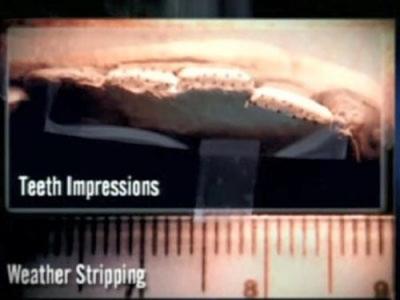 Forensic Files
