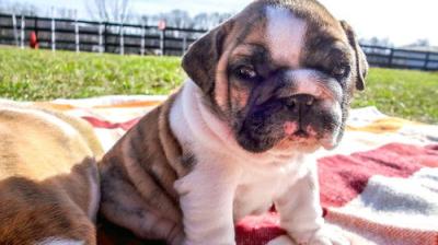 Too Cute