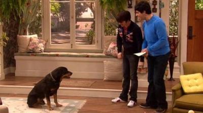 Drake & Josh