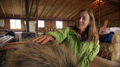Dr. Oakley, Yukon Vet