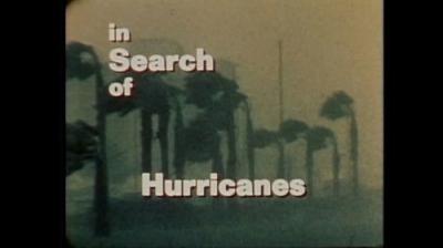 In Search of...