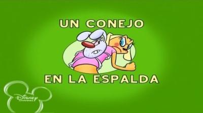 Brandy & Mr. Whiskers