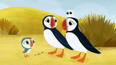 Puffin Rock