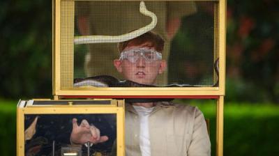 I'm a Celebrity...Get Me Out of Here!
