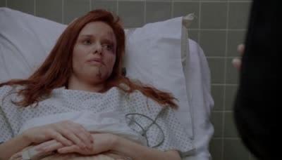 Įstatymas ir tvarka. Specialiųjų tyrimų skyrius