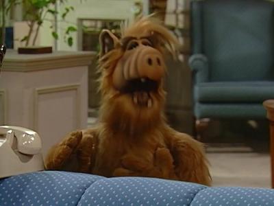 ALF