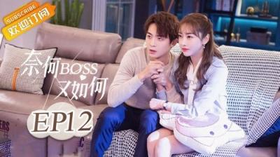 奈何BOSS又如何
