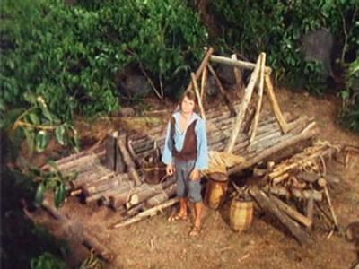 Swiss Family Robinson