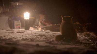 Life Below Zero