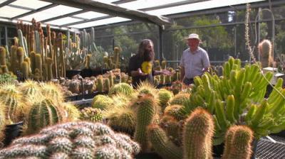 Gardening Australia