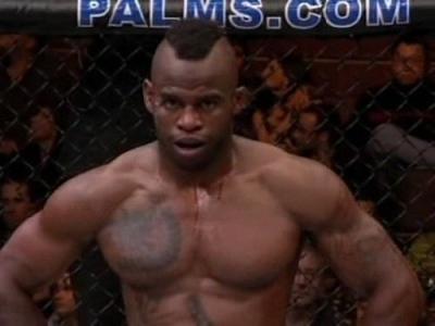 The Ultimate Fighter